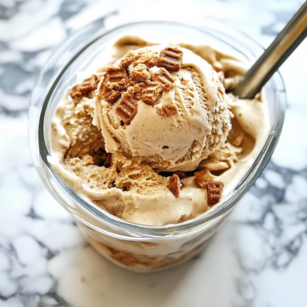 Biscoff Ice Cream